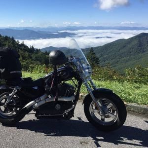 Meet your Posher, Zach